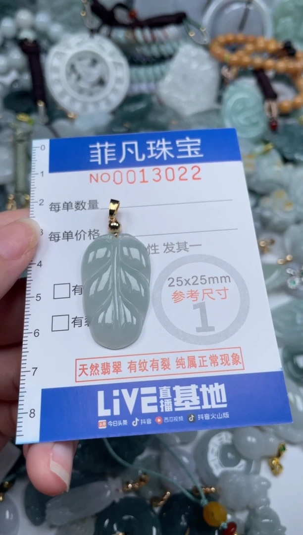 颈饰未镶嵌翡翠13022