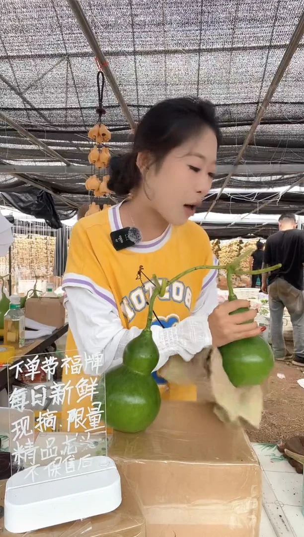276天然葫芦摆件 一物一拍龙头不保售后