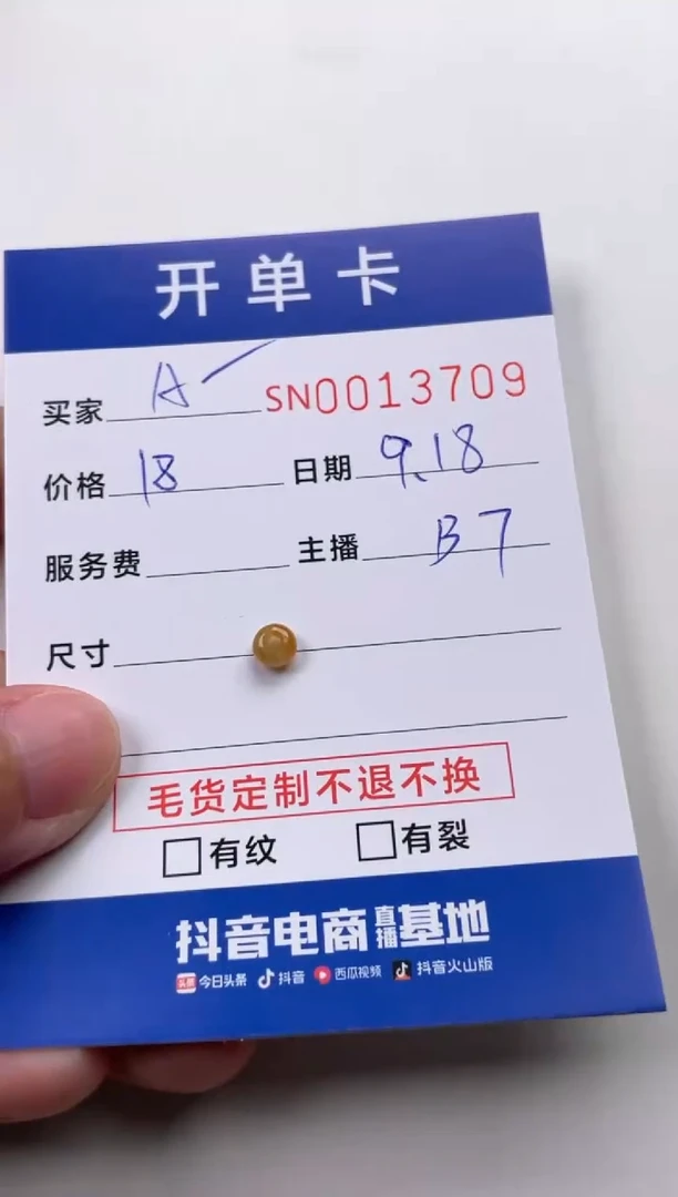 颈饰未镶嵌翡翠A*00013709