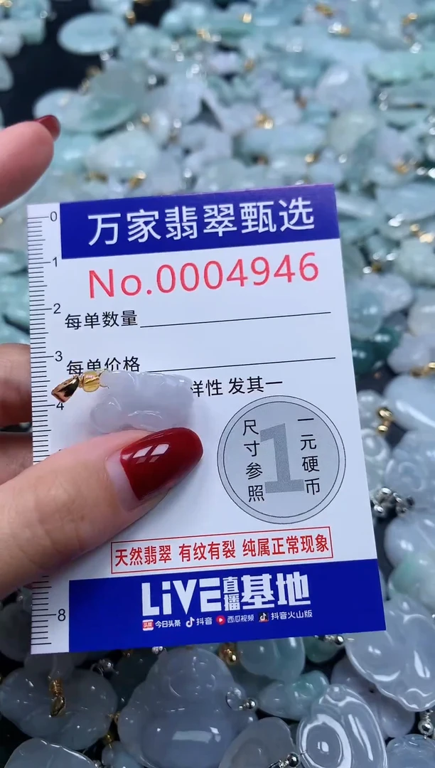 颈饰未镶嵌翡翠4946