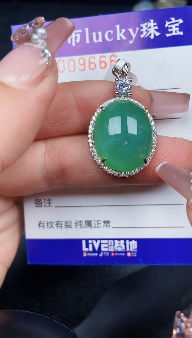翡翠银S925镶嵌颈饰9666