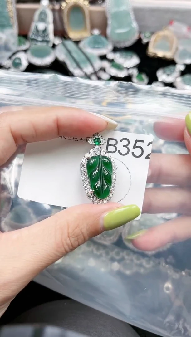 【闪购商品】翡翠颈饰未镶嵌赠皮绳352