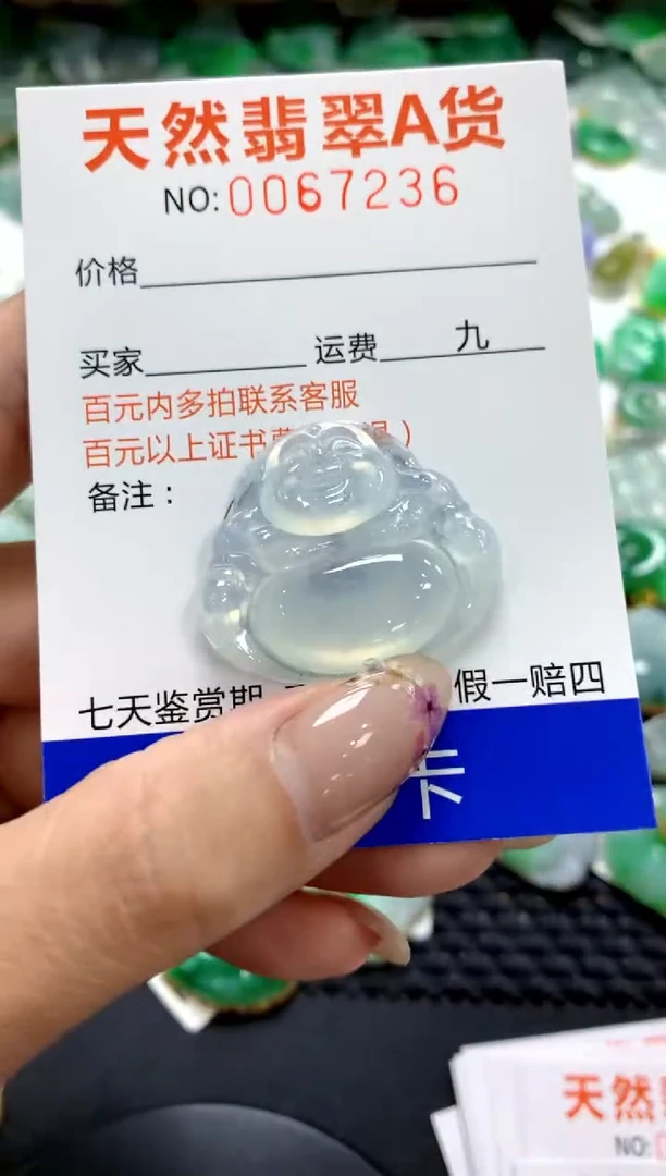 翡翠未镶嵌颈饰@***姐1111111111111111