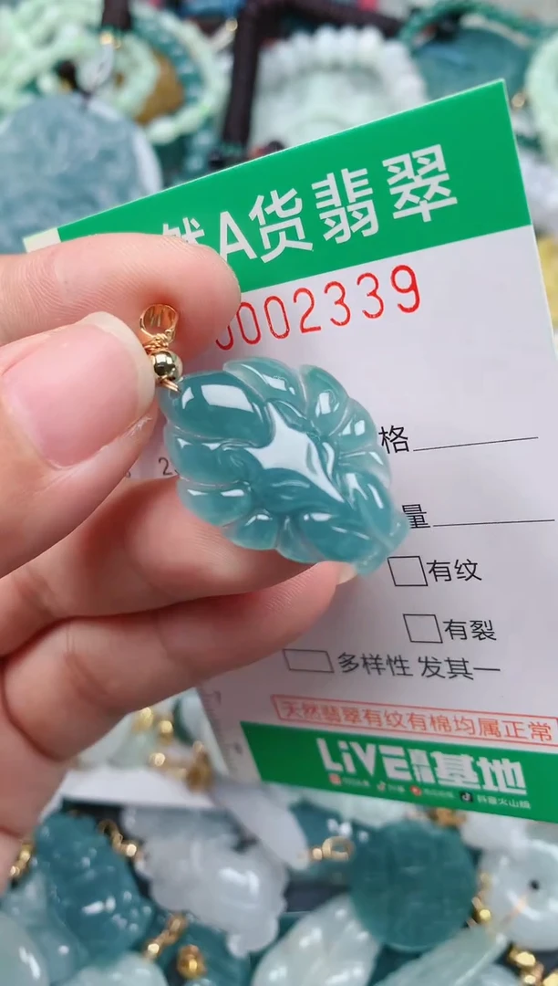 颈饰未镶嵌翡翠.0002339