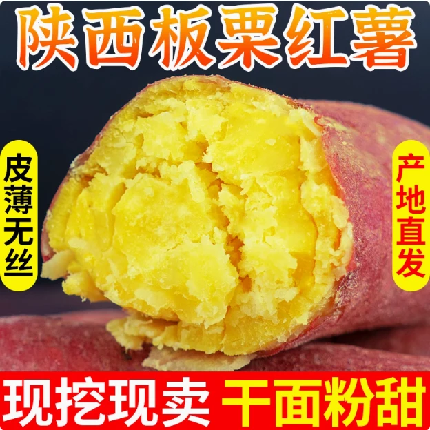 陕西板栗沙地红薯整箱5斤新鲜现挖粉面干甜小番薯农家地瓜烤红薯
