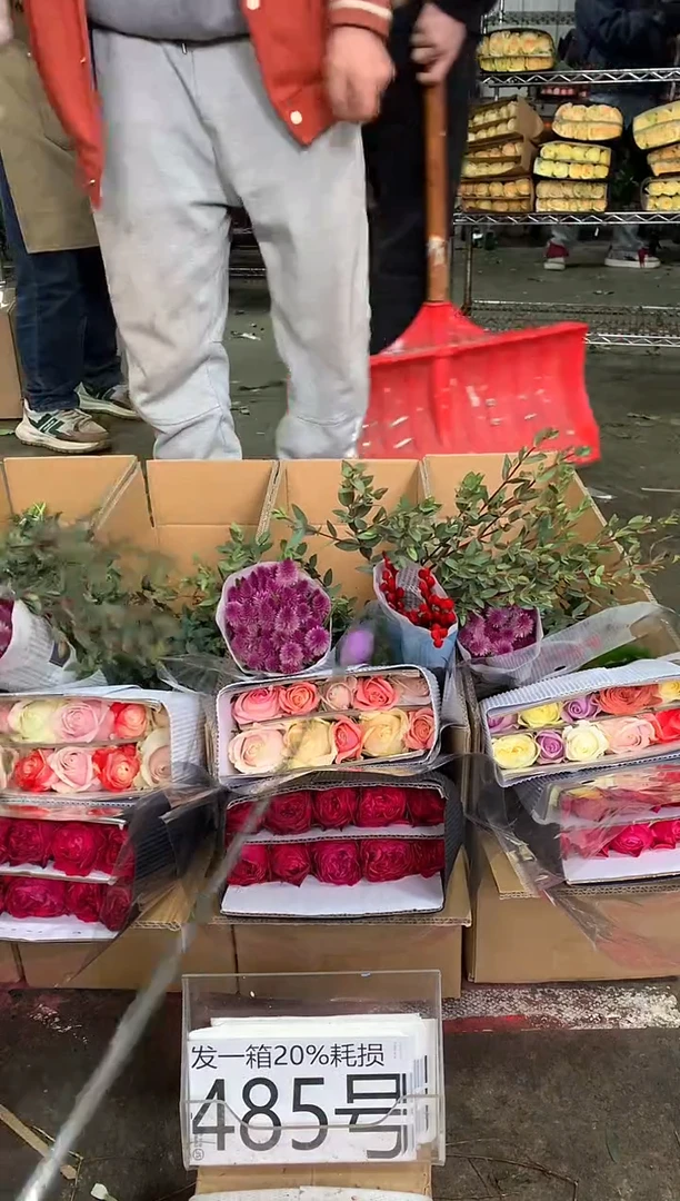 485号♥中通含20%耗损发一箱鲜花