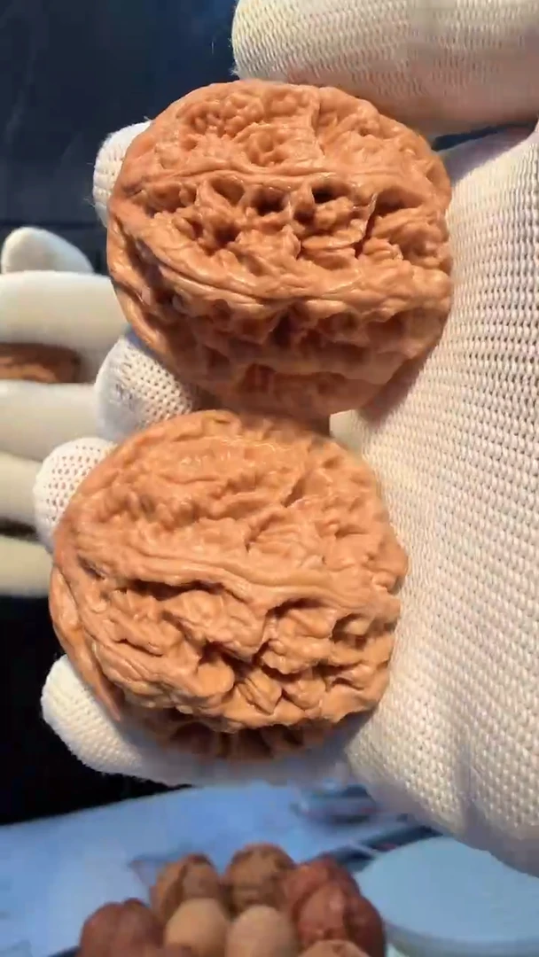 大叶紫檀（黑酸枝木类）008 粗筋 45-46