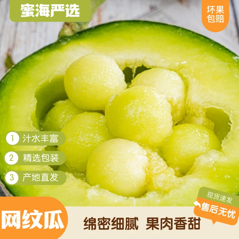 【蜜海严选】海南网纹瓜4.5-5斤绵密细腻香甜多汁产地直发