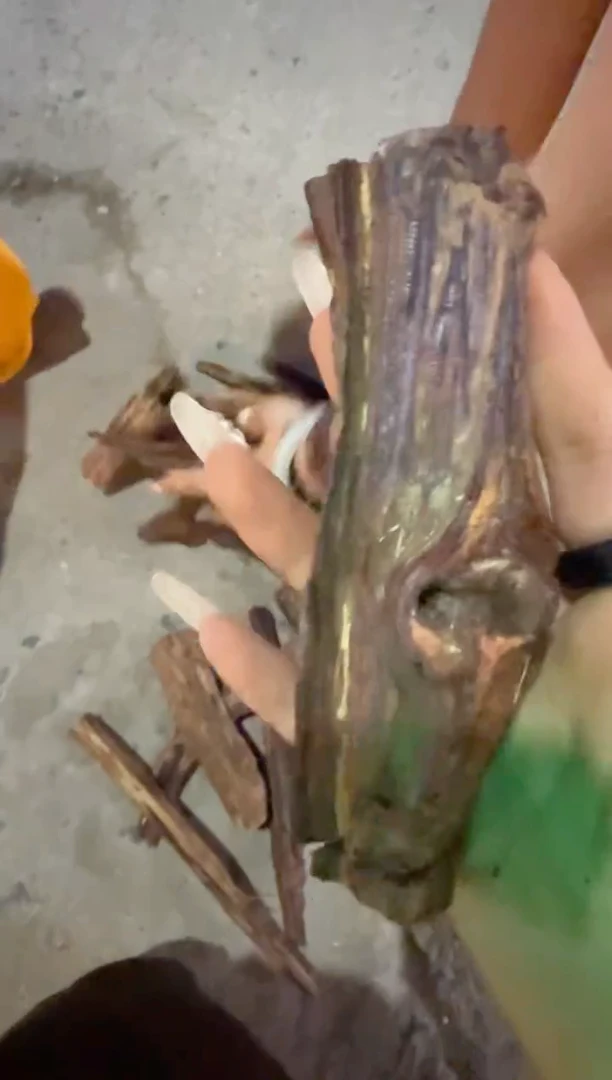 藤类海南大叶降真香原料76克