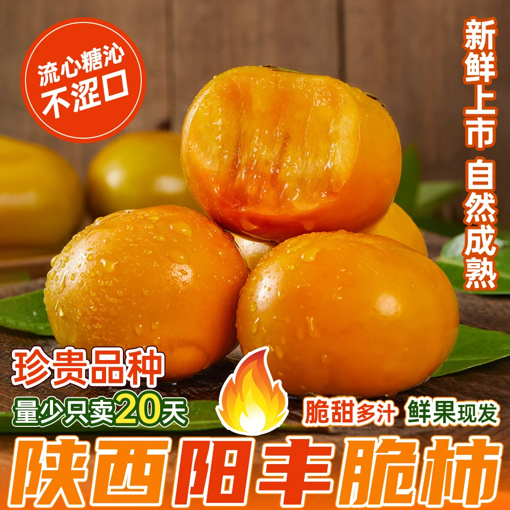 【正宗阳丰脆柿】陕西源产地现摘现发巧克力脆柿香甜酥脆应季礼盒装