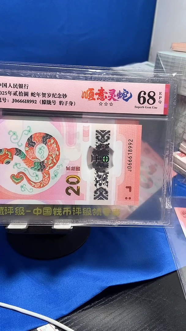 塑料朦胧满号豹子身066618992