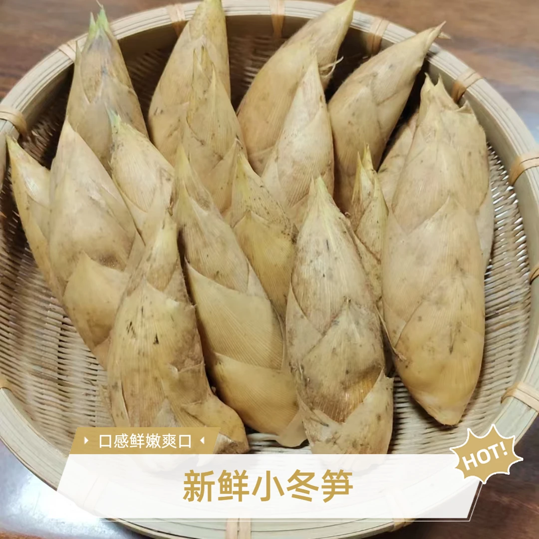 浙江丽水新鲜现挖鲜笋高山野生毛竹笋