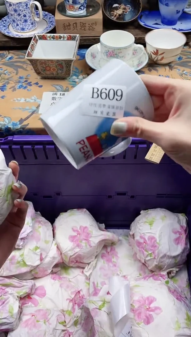 瓷片小*龟                B609