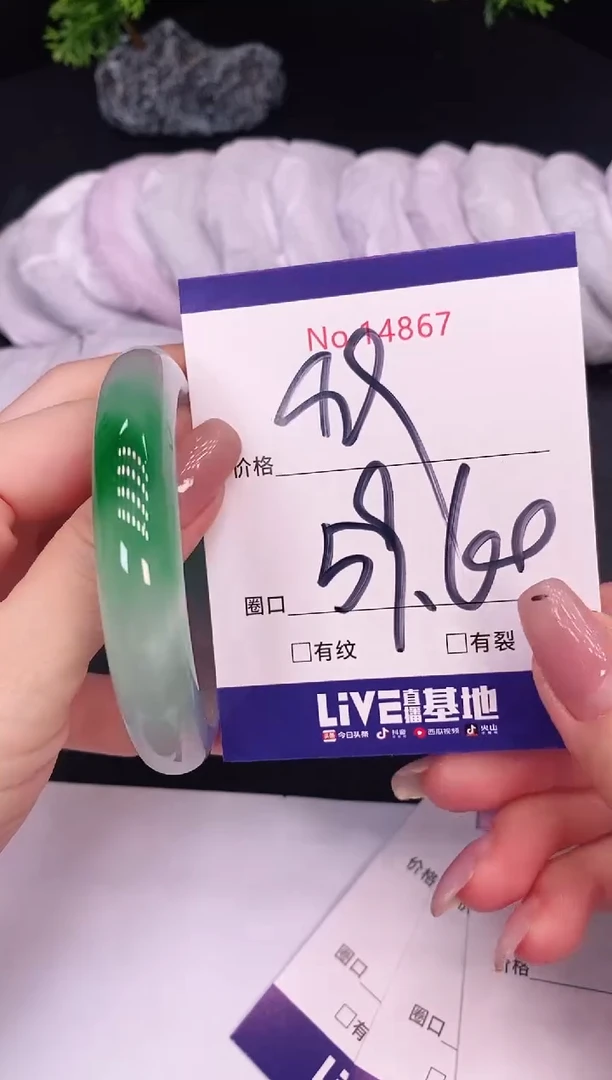 未镶嵌手镯翡翠14867