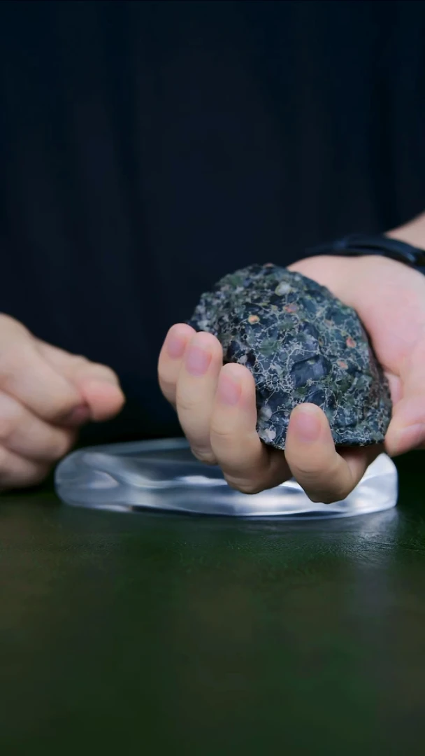 老师手工作品、龟甲