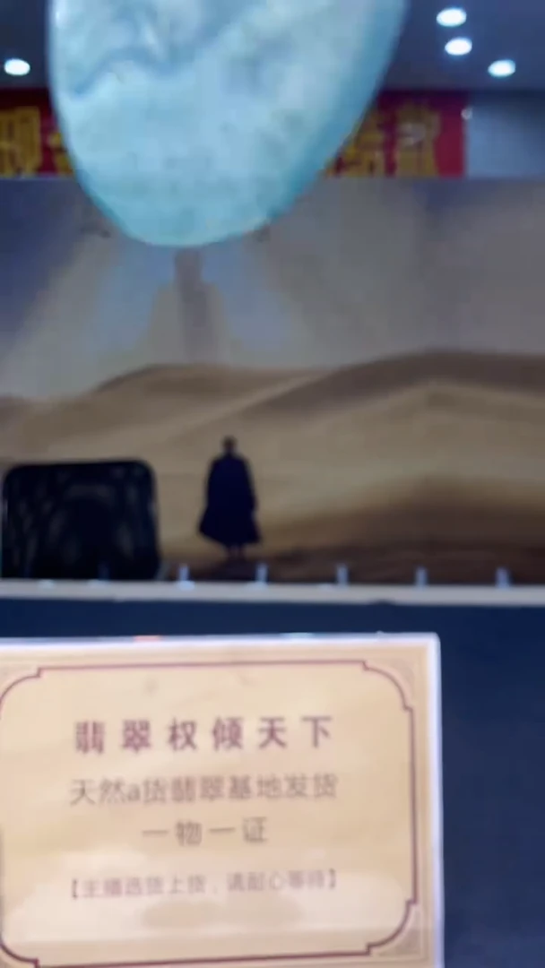 翡翠未镶嵌颈饰********2