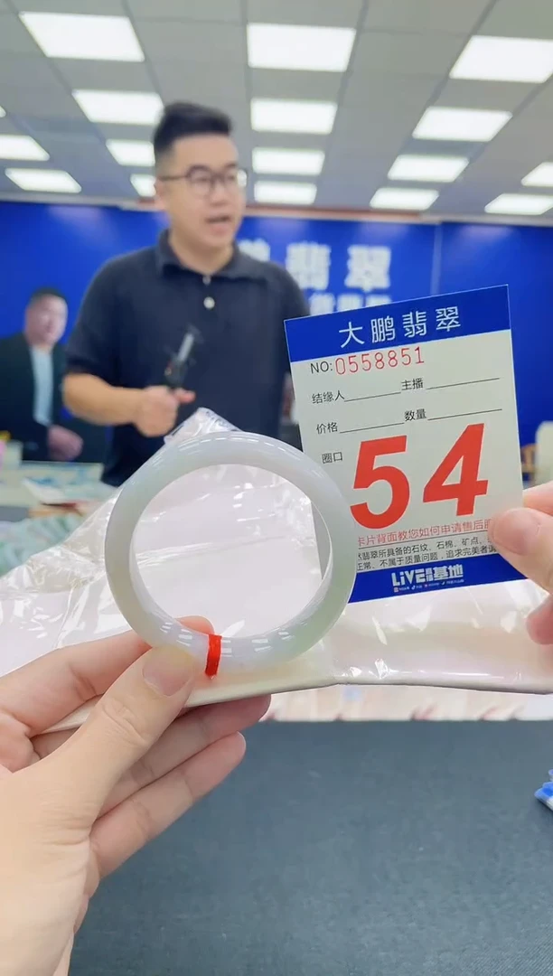 未镶嵌手镯翡翠AAAAAAAAA