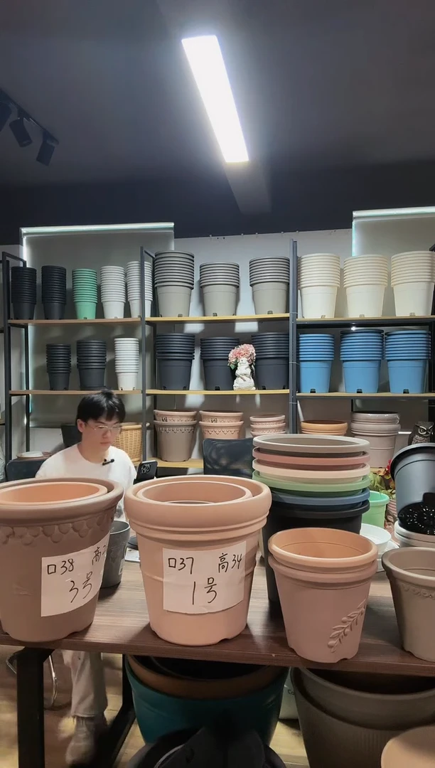 赫林22白陶10个装