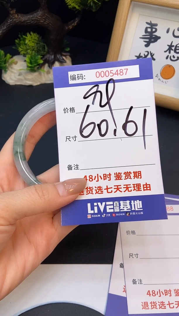 未镶嵌手镯翡翠0005487