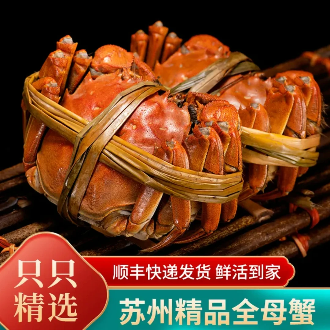 【活蟹】苏州洪泽湖大闸蟹全母2.0-2.2两10只礼盒装大闸蟹 今天拍下每天顺丰送货到家 只做精品大闸蟹