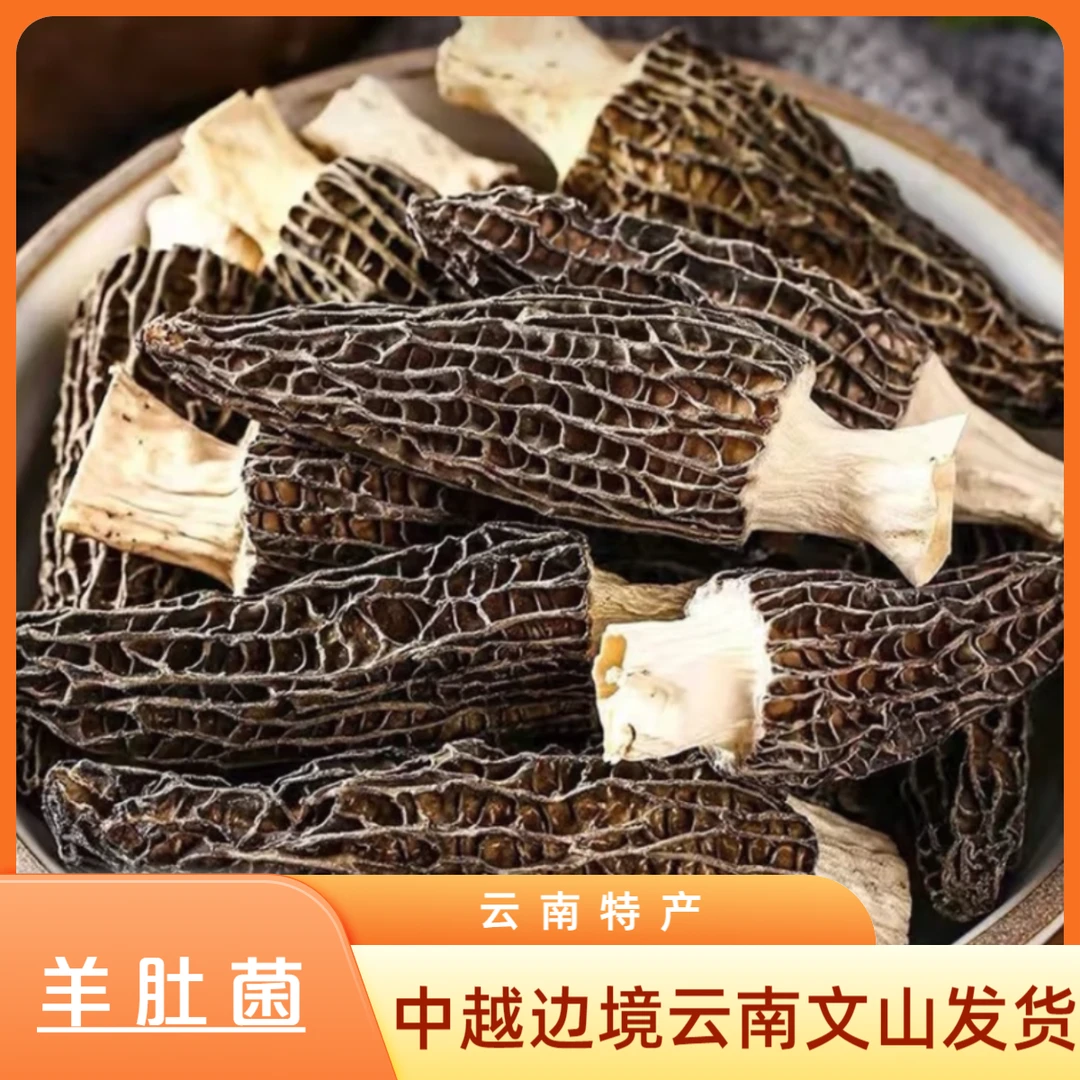 云南文山中越边境乡野好货【羊肚菌】