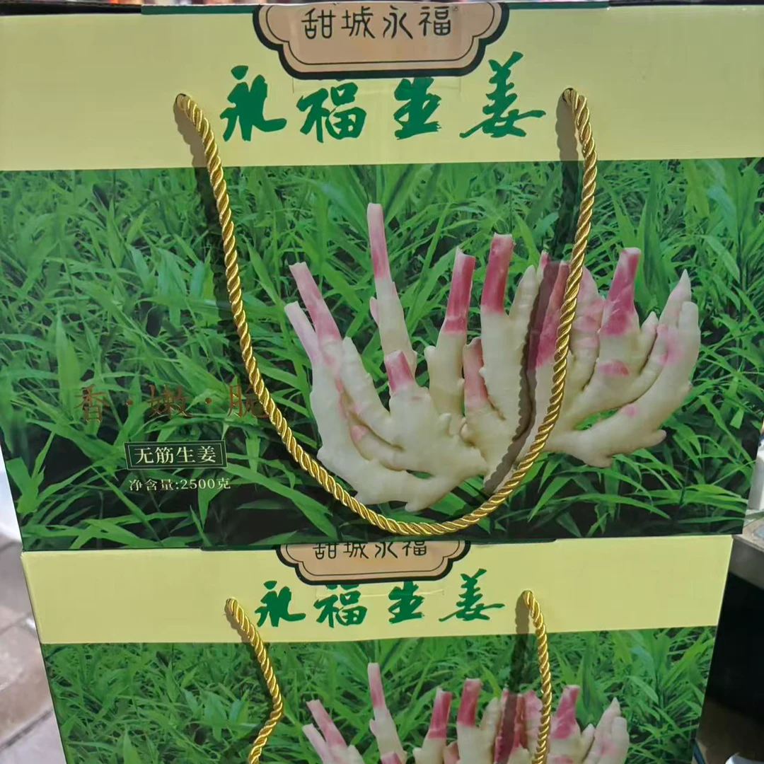 永福无筋姜新鲜现挖嫩无筋姜