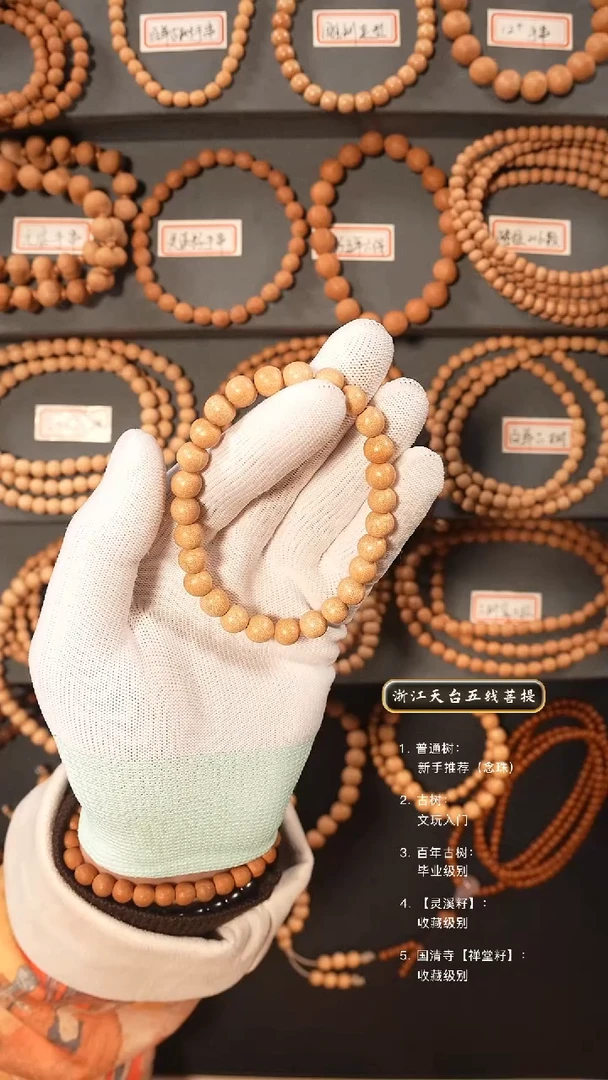 【闪购商品】五线菩提吊坠古树籽去皮手串8+