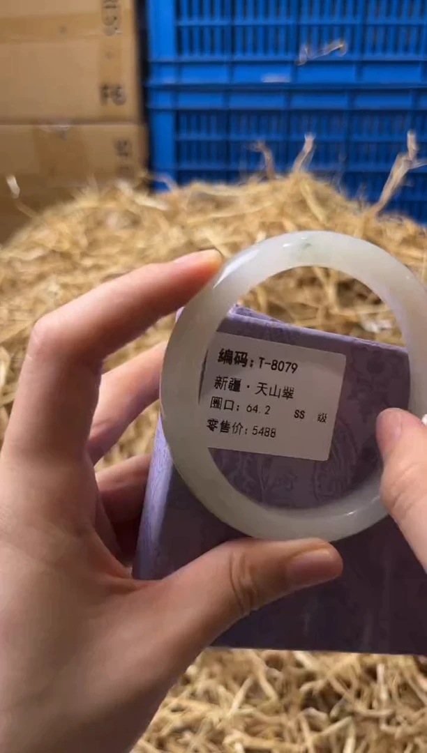 未镶嵌手镯石英质玉T-8079