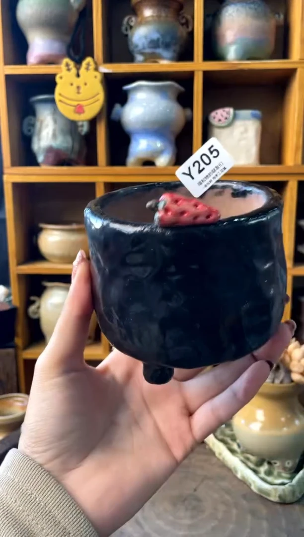 205内口8【多肉花盆多肉盆】