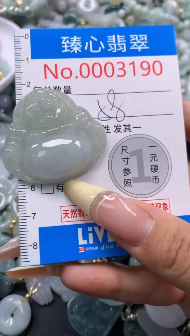 翡翠未镶嵌颈饰含绳0003190