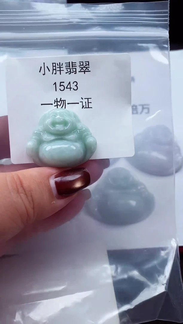 颈饰未镶嵌翡翠缅甸天然A货翡翠1543