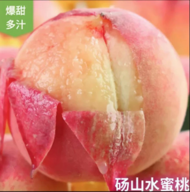 现摘现发正宗砀山突围水蜜桃脆甜多汁新鲜水蜜桃水果当季新鲜水果