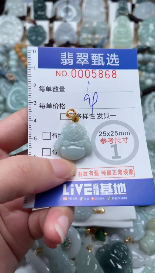 翡翠未镶嵌颈饰00..5868