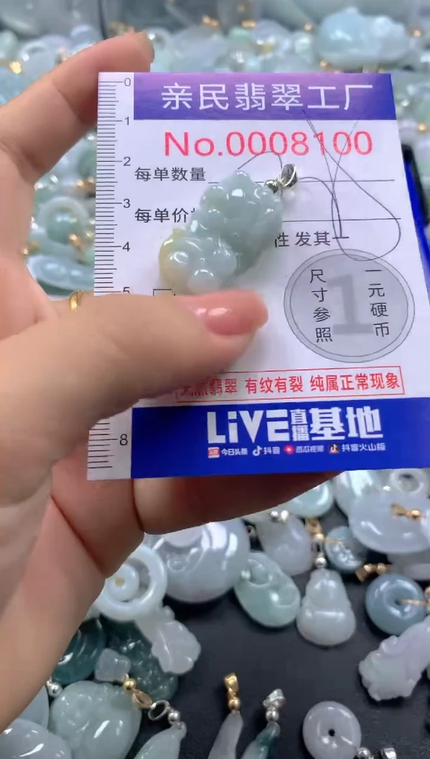 颈饰未镶嵌翡翠8100