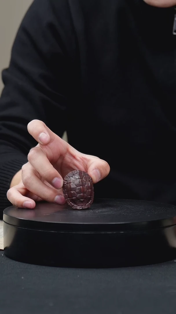 【闪购商品】紫砂茶壶003富甲天下