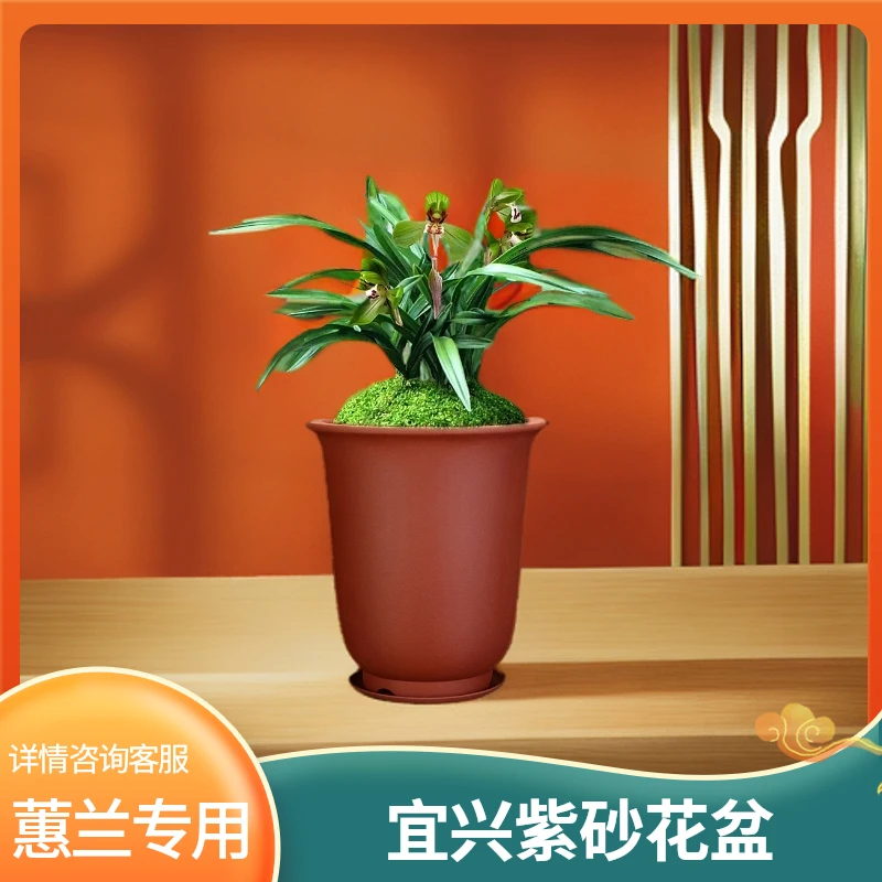 宜兴紫砂花盆大号兰花盆蕙春墨兰专用盆客厅桌面透气盆景盆带托盘
