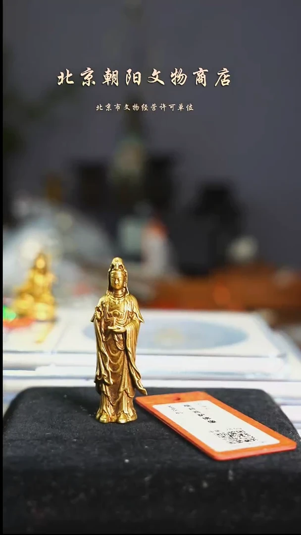 铜勇**涯带证书---0273