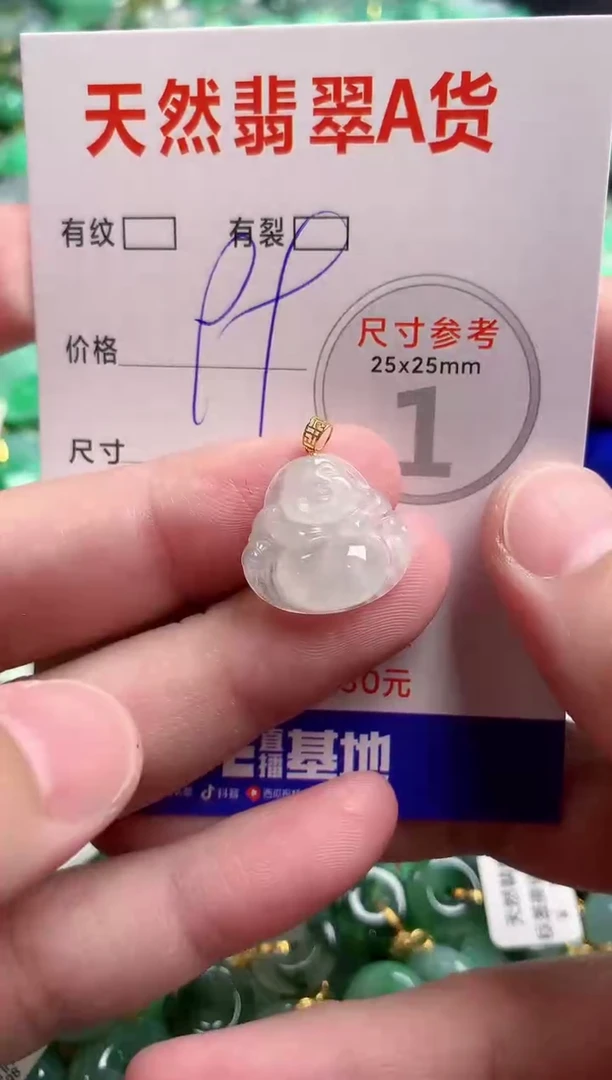 翡翠18K金镶嵌颈饰23000561
