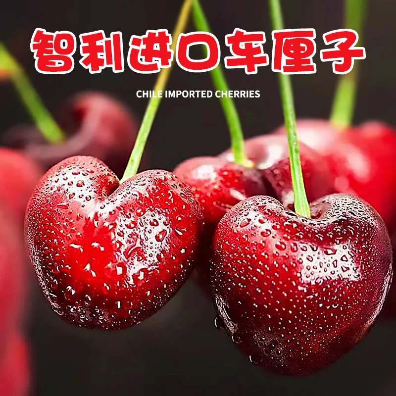 【明日到】5斤J（不拆封不拆袋净果5斤更新鲜）智利进口新鲜车厘子当季水果整箱顺丰包邮