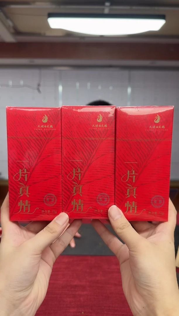 太姥白天鹅 一片真情 福鼎白茶