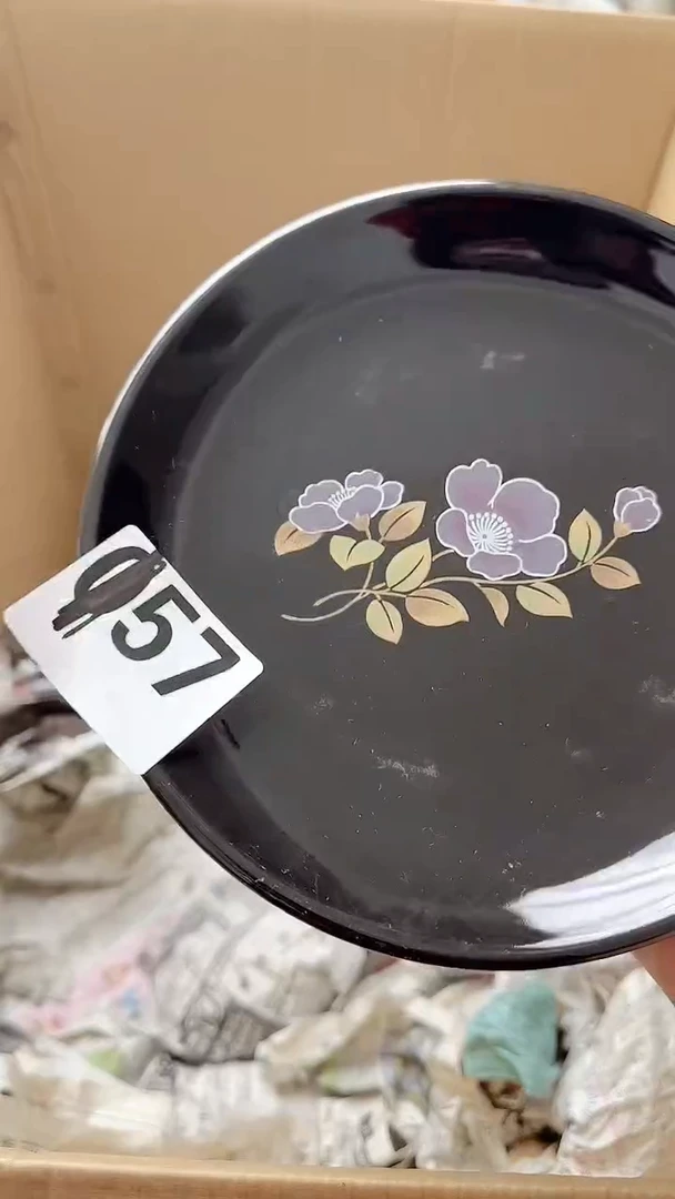 157定向 蝴蝶兰定向 蝴蝶兰