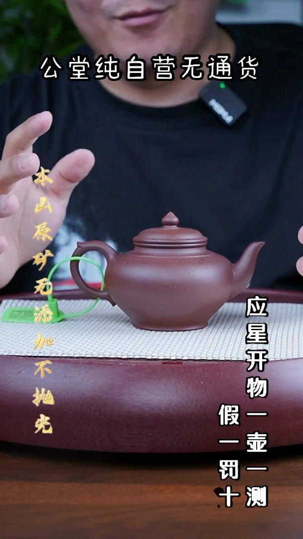 茶壶紫砂四号井底槽青 笑樱 270cc