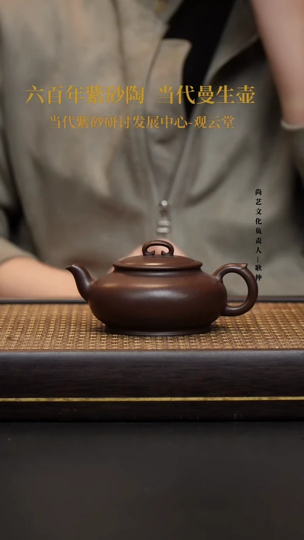 茶壶紫砂紫砂茶壶 黑星土