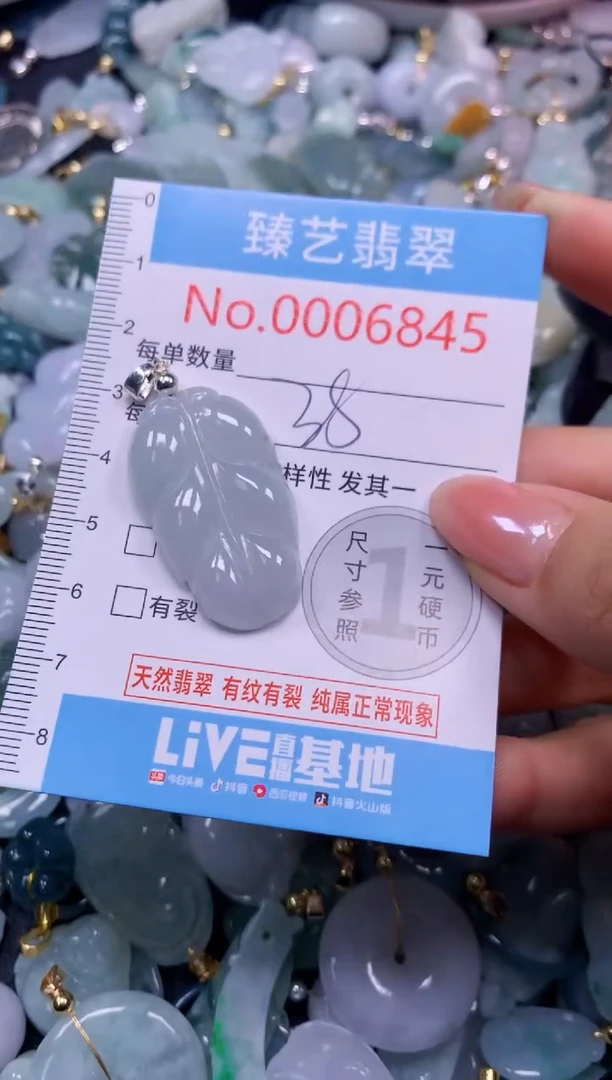 颈饰未镶嵌翡翠6845