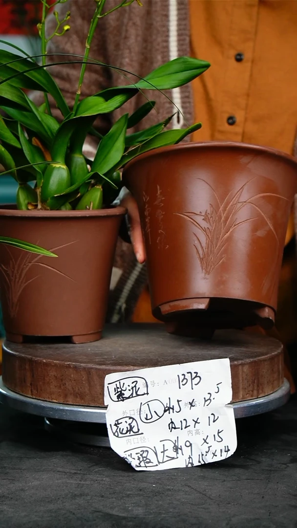 紫砂花盆花卉园艺1373瑕