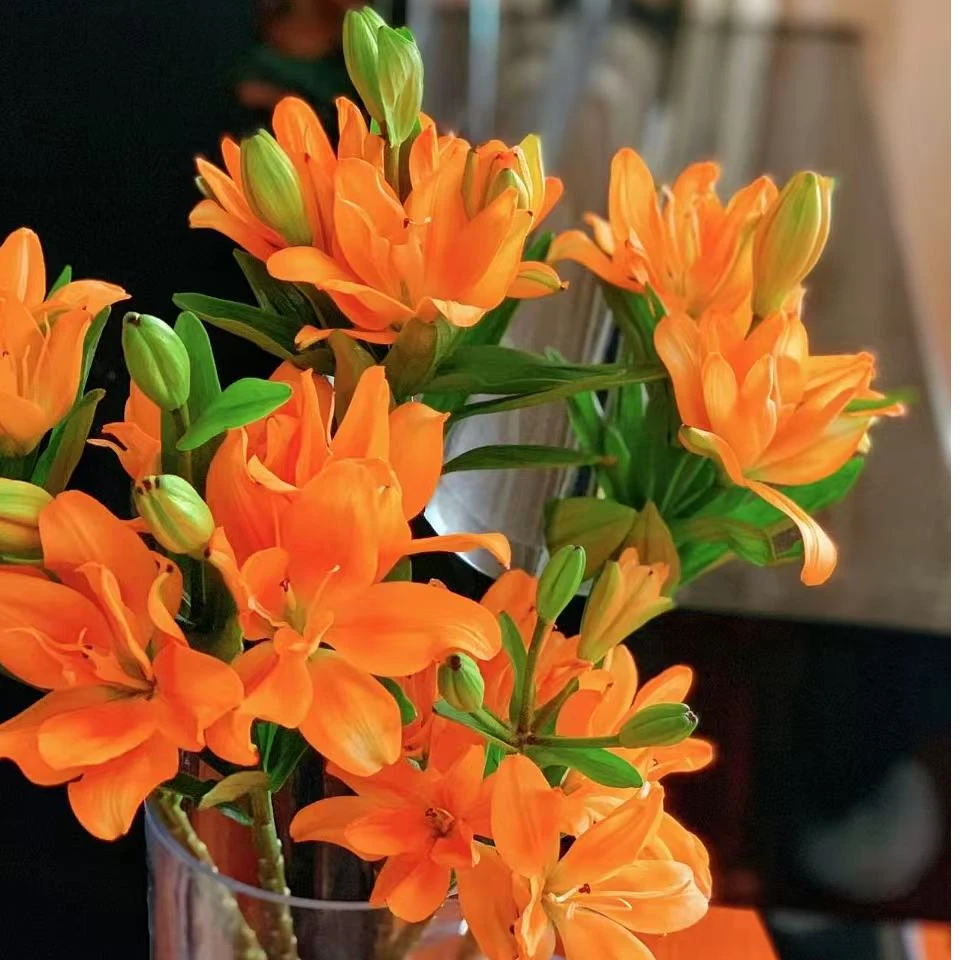 【陌上花开】三头小蜜蜂-亚百合