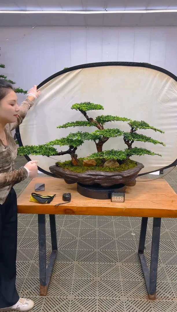 无花朵一物一拍一物一拍
