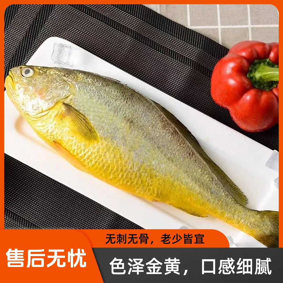 舟山大黄鱼黄花鱼海鲜野化大黄源自生态6-8两/条3条一箱总重2斤起