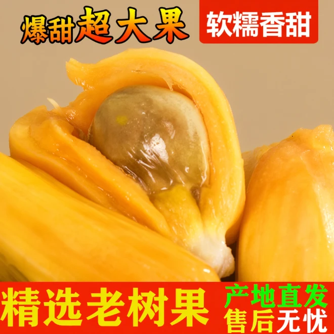 海南爆甜饱满现摘大果菠萝蜜海南发应季水果包邮一菠萝蜜一整个