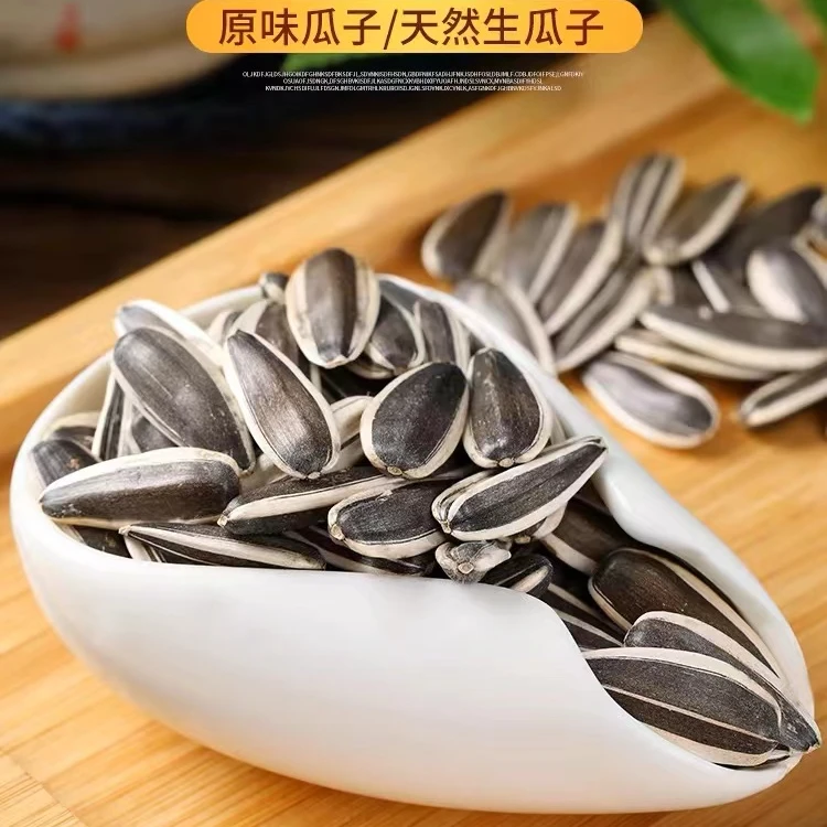 康昂新货内蒙生货中颗粒精选营养363甄选皮薄香脆葵花籽瓜子品质